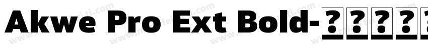 Akwe Pro Ext Bold字体转换